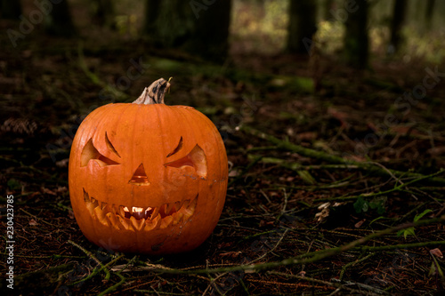 scary halloween pumpkin in the forest