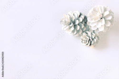 Abstract light background with white painted pine cones.
