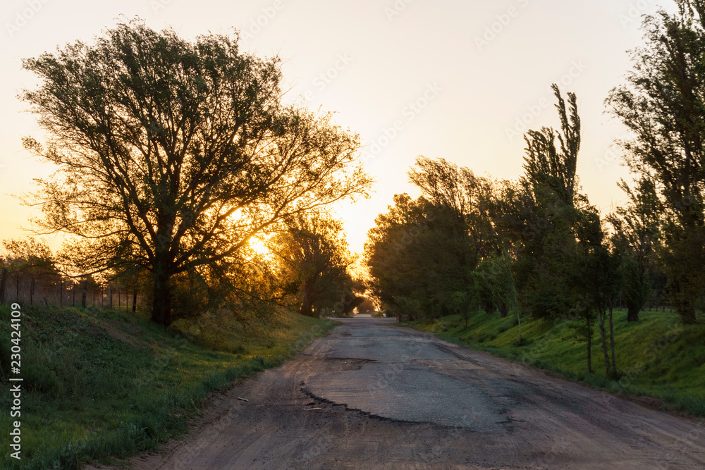 Golden Hour Road