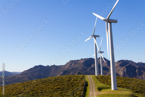 Molinos de viento