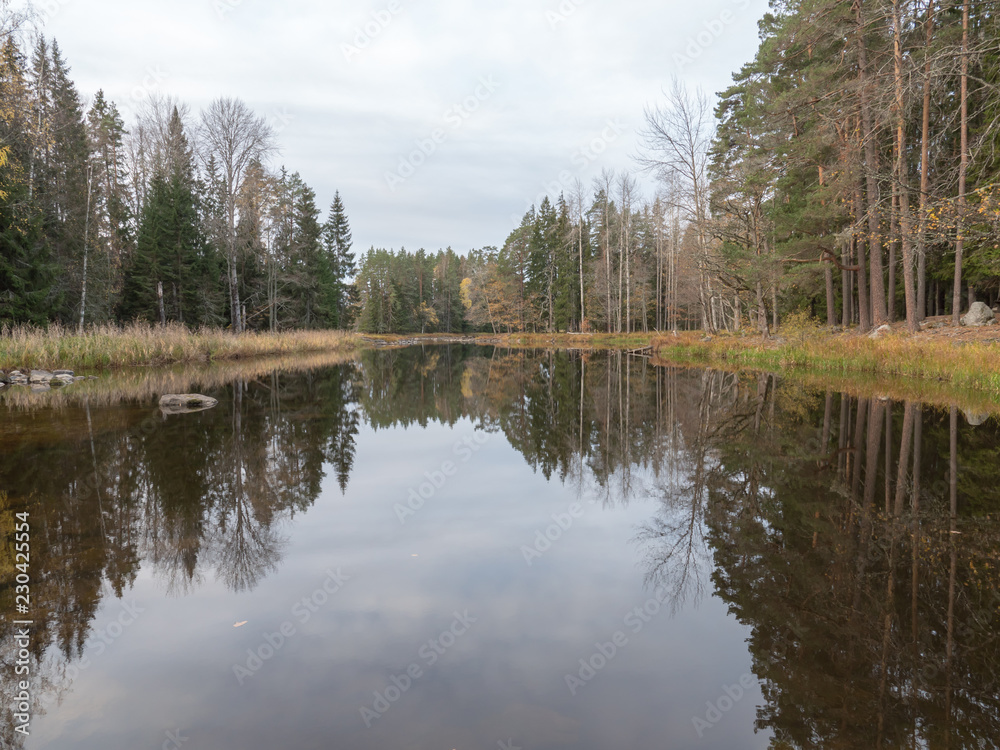 River landscape in autumn. Farnebofjarden national park in Sweden.