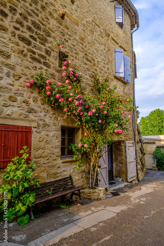 Façade d'une maison en pierre avec le rosier rose. Provence, France. 