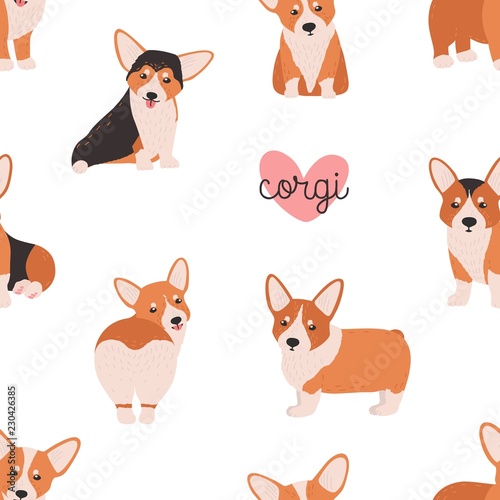Seamless pattern with funny welsh corgi on white background. Backdrop with small adorable purebred dog, doggy, funny pet or domestic animal. Colorful vector illustration in flat cartoon style.
