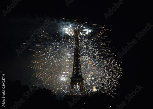 Fireworks in Paris