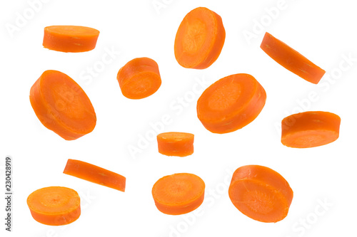 carrot fly isolated on white