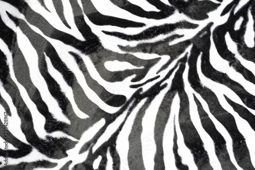 zebra texture background