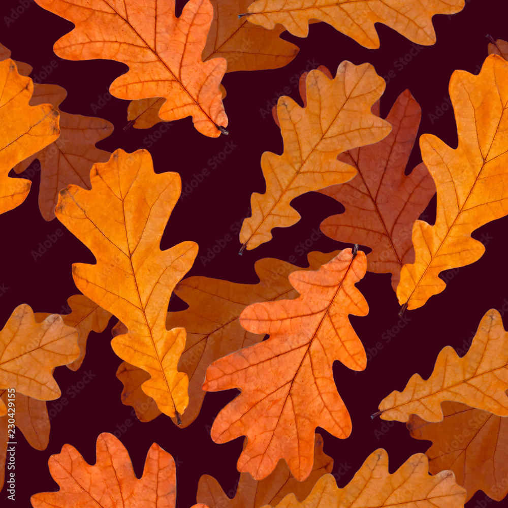 Fototapeta premium autumn Seamless pattern of oak leaves. fabric design, natural concept