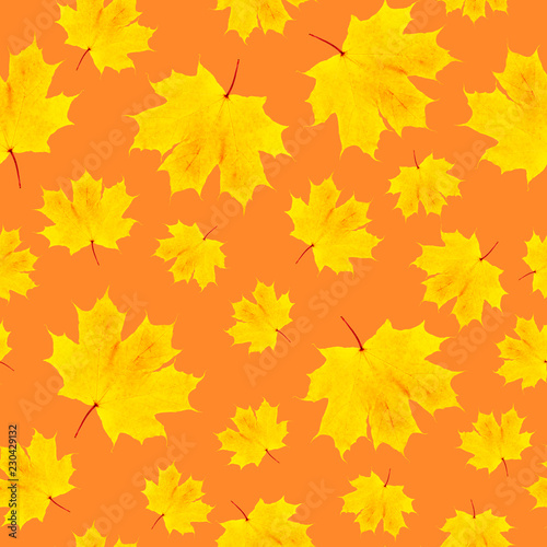 Autumn yellow maple leaf seamless pattern on orange background. halloween texture