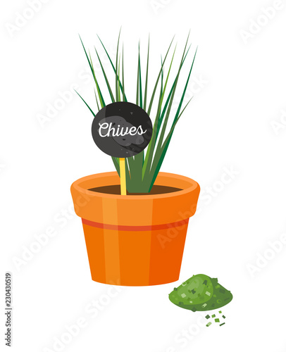 Chives in Pot and Table Powder Vector Illustration
