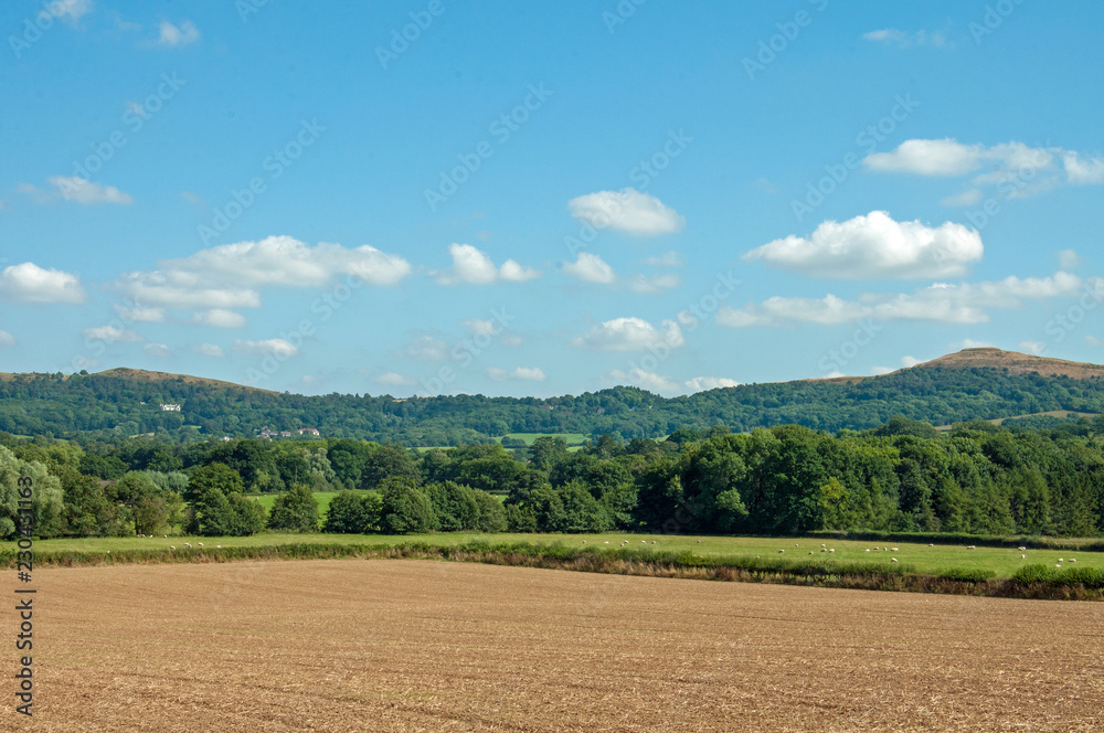 Summer landscape in the English countryside.