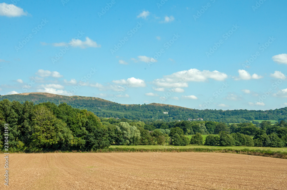 Summer landscape in the English countryside.