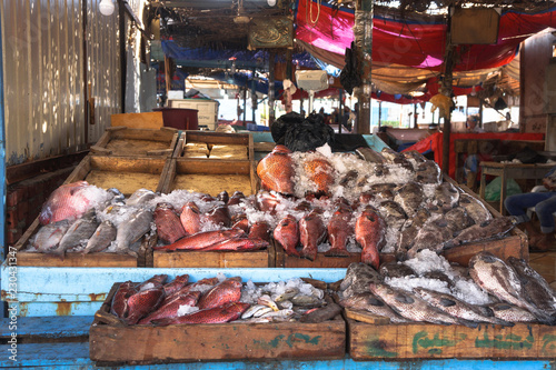 Various fish in the market near the sea, ocean. Old stalls with fresh marine life. Asia culture and traditions. Stock photos