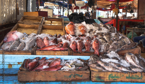 Canvas Print Various fish in the market near the sea, ocean