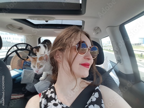 Road trip with cats photo