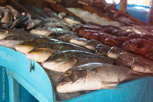 Canvas Print Various fish in the market near the sea, ocean