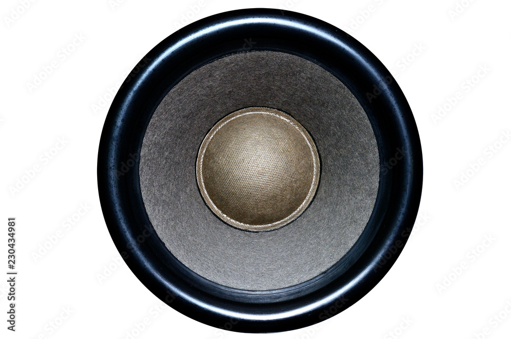 Speaker from speakers on an isolated background Speaker from speakers on an isolated background