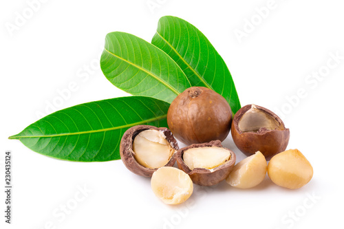 Macadamia nuts isolated on a white background