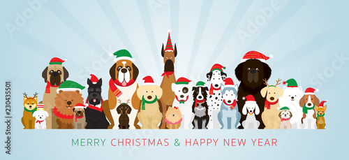 Group of Dogs Wearing Christmas Costume
