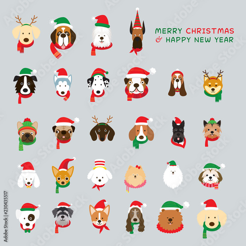 Head of Dogs Wearing Christmas Costume