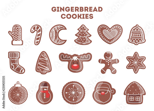 Set of tasty delicious gingerbread cookie for christmas