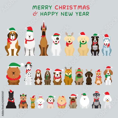Dogs Sitting and Wearing Christmas Costume, Characters