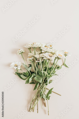 Cynicism flowers bouquet on beige background. Flat lay, top view.