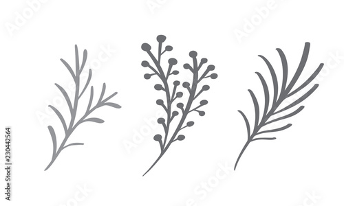 Christmas decorative branch elements design floral leaves in scandinavian style. Vector handdraw illustration for xmas greeting card