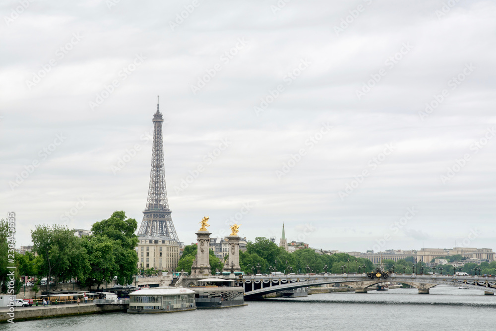 view of paris and eiffel tower