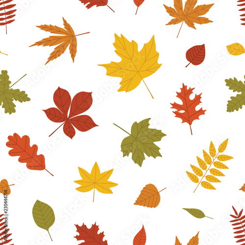 Foto Natural seamless pattern with autumn fallen leaves of forest trees on white back