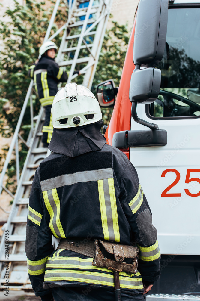 back view of firefighter in protective uniform and helmet looking at colleague on ladder on street back view of firefighter in protective uniform and helmet looking at colleague on ladder on street