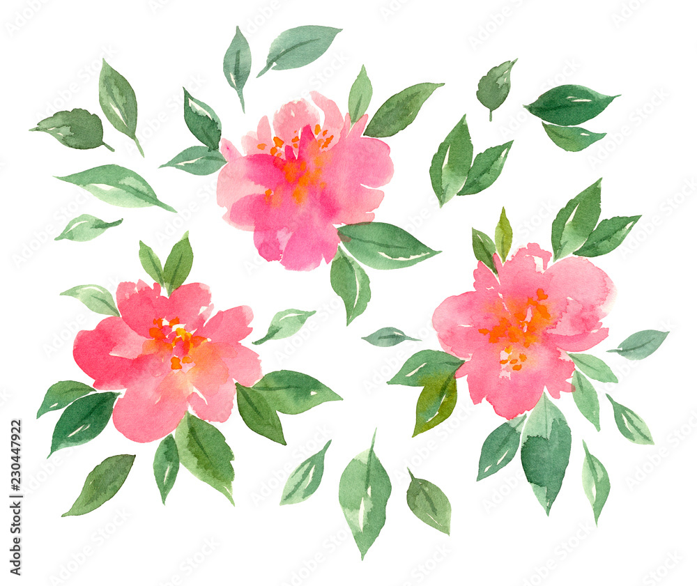 hand painted watercolor  flowers. isolated elements