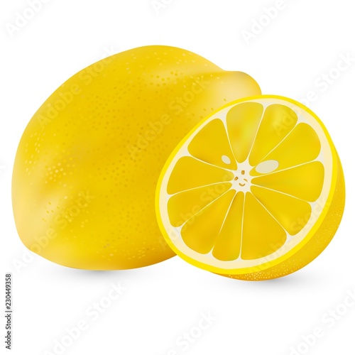 Vector realistic whole lemon and half a lemon isolated on white background. Isolated lemon on white backgrpund. Citrus fruit