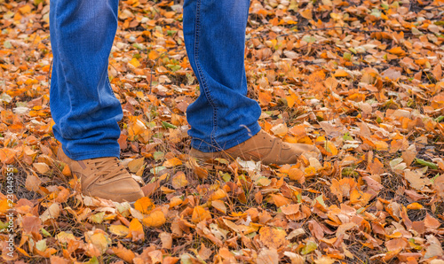 men s feet in the woods on the leaves of autumn. walk through the autumn forest.