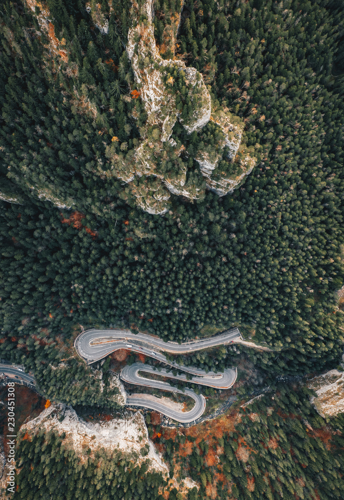 Curved winding road in the forest