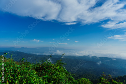 Blue sky and cloud with meadow tree. Plain landscape background for summer poster of thailand.