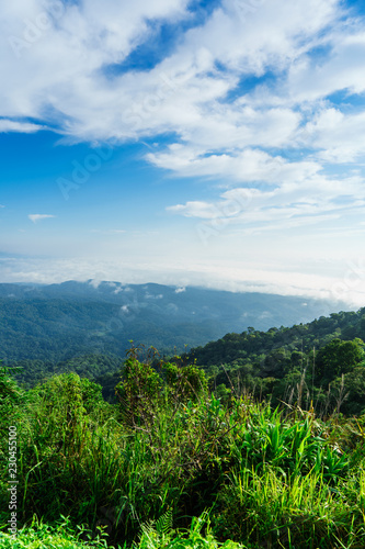 Blue sky and cloud with meadow tree. Plain landscape background for summer poster of thailand.