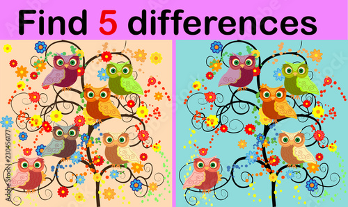 Cartoon Illustration of Find the Differences Educational Activity Game for Children with Owls