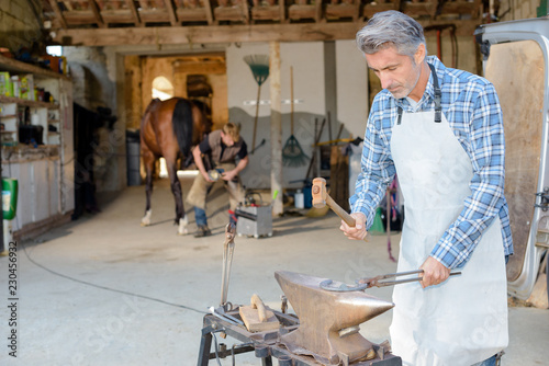 Bild auf Leinwand shaping the hoof