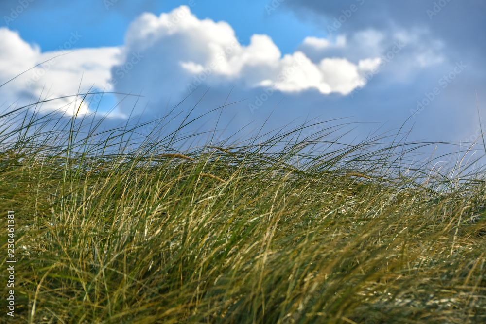 Landschaft Grass mit Himmel