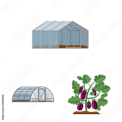 Isolated object of greenhouse and plant logo. Set of greenhouse and garden stock vector illustration.