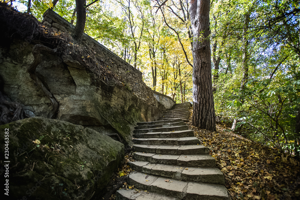 stairs in autumn