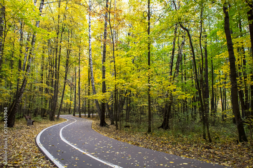 Obraz premium Moscow warm October 2018