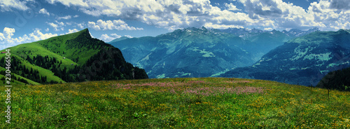 Alpine meadow of Palfries in East Switzerland