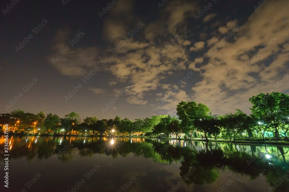 City park in the night with a resting place. The landscape of the city park in the winter. City park in the night with a resting place. The landscape of the city park in the winter.