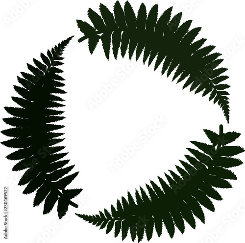 Green fern emblem