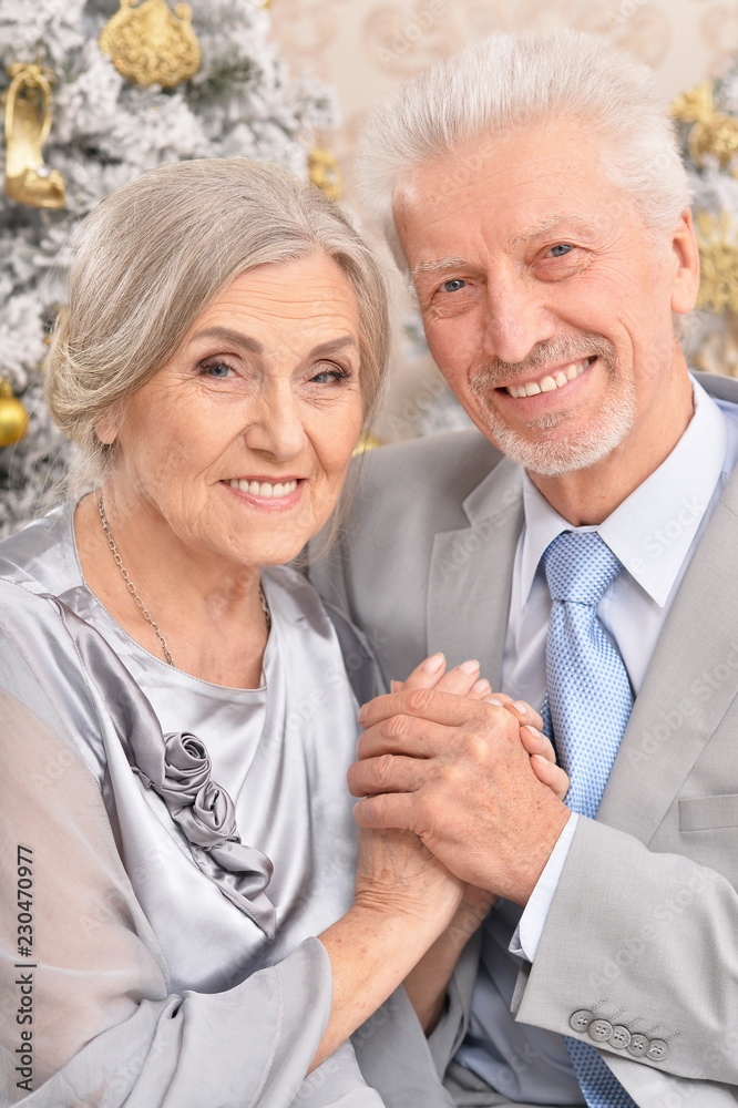 Portrait of a beautiful old couple with Christmas present