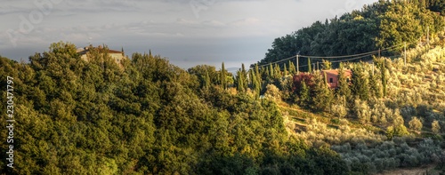 Fototapeta Naklejka Na Ścianę i Meble -  Rural landscape of Tuscany, close to Montespertoli, region of Florence