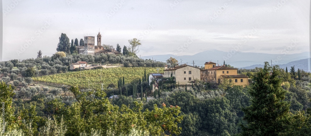 Rural landscape of Tuscany, close to Montespertoli, region of Florence