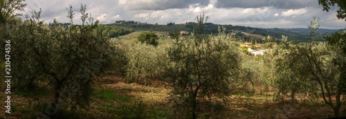 Rural panorama in Tuscany, Montespertoli, region of Florence photo