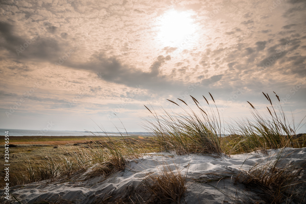 Dünenlandschaft auf der Insel Amrum Dünenlandschaft auf der Insel Amrum